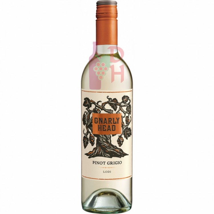 Gnarly Head Pinot Grigio