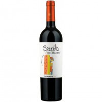 Viu Manent Secreto Carmenere