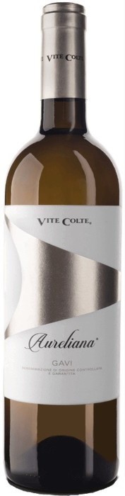 Terre da Vino Aureliana Gavi