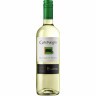 San Pedro Gato Negro Sauvignon Blanc