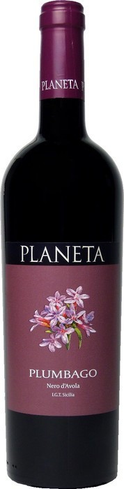 Planeta Plumbago Sicilia
