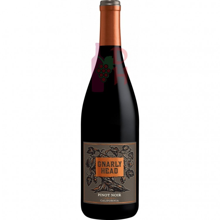 Gnarly Head Pinot Noir