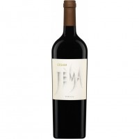 Cesari Jema Corvina