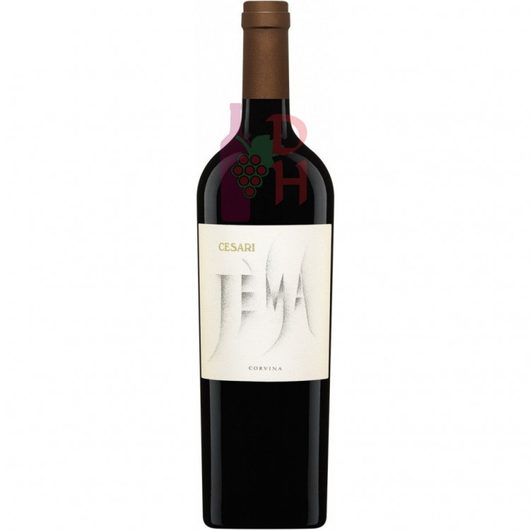 Cesari Jema Corvina