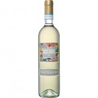 Cesari Salvalai Pinot Grigio delle Venezie